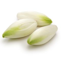 Endive