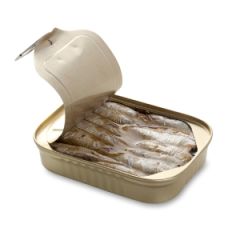 Sardine A L Huile